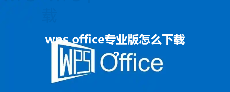 wps office专业版怎么下载？ 三